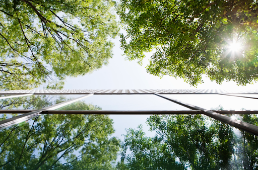 Phát triển bền vững